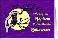 Happy Halloween for Nephew Card - Purple Owl and Full Moon card