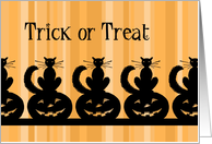 Trick or Treat Halloween - Orange Stripes & Black Cats card