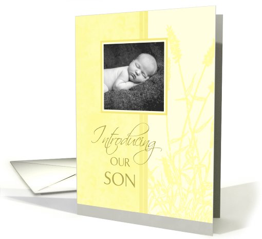 New Baby Boy Announcement Photo Card - Pastel Yellow card (732072)