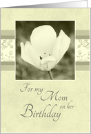 Happy Birthday Mom from Daughter - White Flower card
