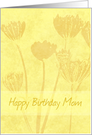 Happy Birthday Mom...