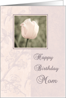 Happy Birthday Mom...