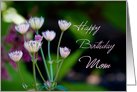 Happy Birthday Mom from Son - Garden Flowers card