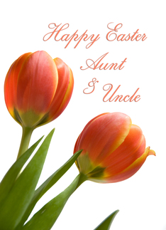 Happy Easter Aunt &...