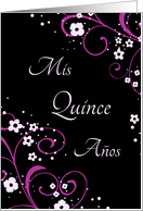 Quinceanera Party...