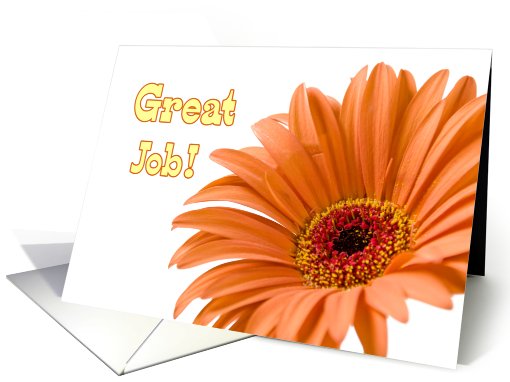 Thank You for Volunteering - Orange Flower card (775774)