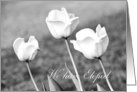 Elopement Party Invitation - Black & White Tulips card