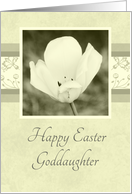 Happy Easter for Goddaughter - White Flower card