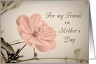 Happy Mother’s Day for Friend - Pink Flower card