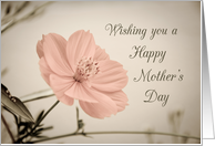 Happy Mother's Day...