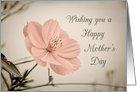 Happy Mother’s Day from Son - Pink Flower card