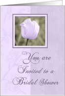 Bridal Shower Invitation - Purple Tulip card