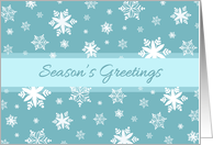 Season’s Greetings from Couple Christmas Card - Teal Snow card