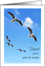 Under the Weather, Get Well, Seagulls in Flight, card