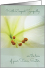 Deepest Sympathy, Comforting Memories of Twin Sister, Easter Lilly card