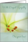 Deepest Sympathy, Comforting Memories of Your Loss, White Lilly card