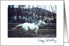 Happy Birthday, Thoroughbred Horse Running in the Pasture card