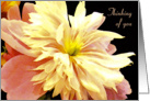 Thinking of you with Sunshine and Joy, The Beauty of a Peony card