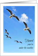 Under the Weather, Get Well, Seagulls in Flight, card