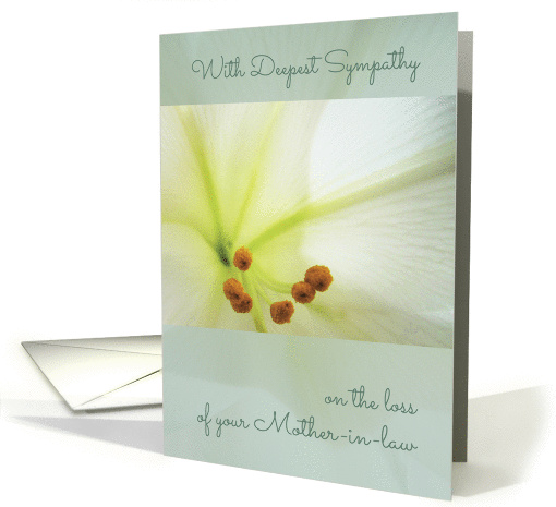 Deepest Sympathy, Comforting Memories of Mother-in-law,... (1102184)