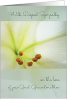 Deepest Sympathy, Comforting Memories, Great Grandmother, Easter Lilly card