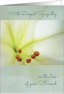 Deepest Sympathy, Comforting Memories of Friend, White Lilly card