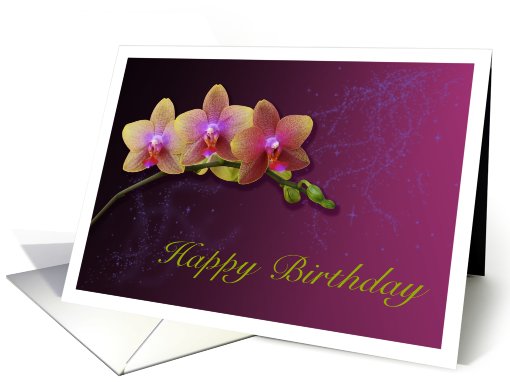 Happy Birthday Card with Orchids on a beautiful background card