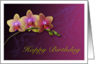 Happy Birthday Card with Orchids on a beautiful background card