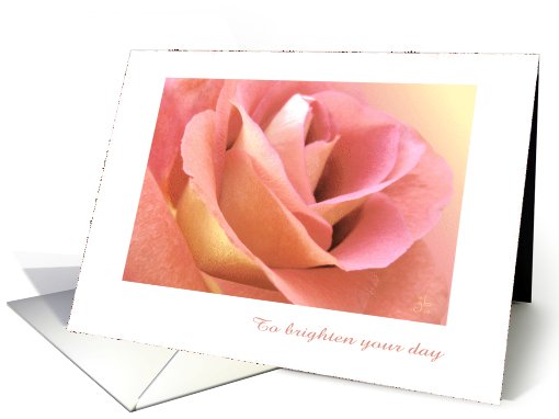Brighten your day by Thinking of You, rose close view card (665490)