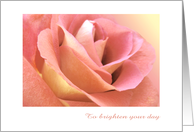 Brighten your day by Thinking of You, rose close view card