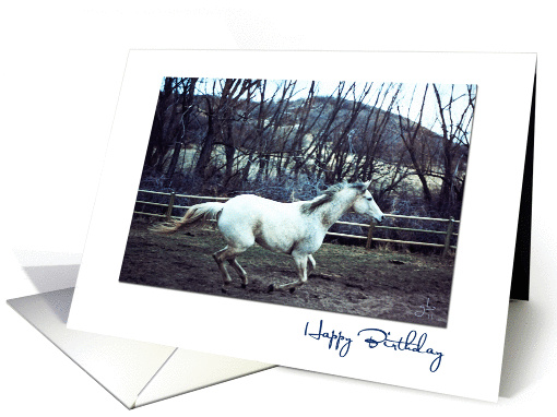 Happy Birthday, Thoroughbred Horse Running in the Pasture card