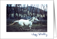 Happy Birthday, Thoroughbred Horse Running in the Pasture card