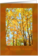 Special Man, Autumn Happy Birthday, Autumn Aspens reaching for the sky card