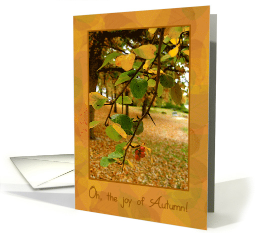 Happy Autumn Birthday, Red Berries on a Tree card (846214)