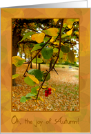 Happy Autumn Birthday, Red Berries on a Tree card