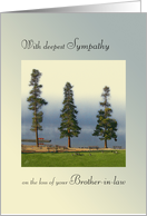 Deep Sympathy, Loss of Brother-in-law, Morning Mist Over Mountain Lake card
