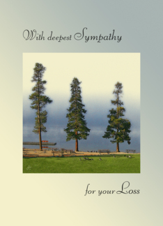 Deepest Sympathy For...