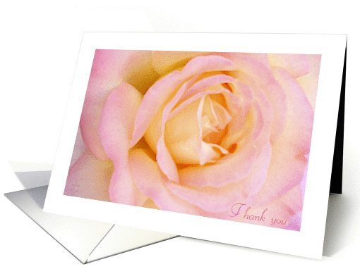 Thank You with a Soft Pink Peace Rose card (909015)