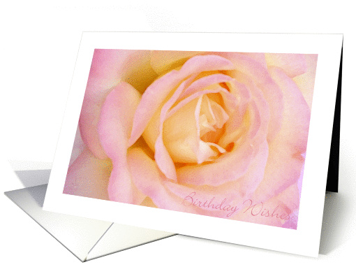 Birthday Wishes with a Soft Pink Peace Rose card (909038)