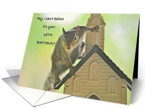 Squirrel 18th Birthday card (1073658)