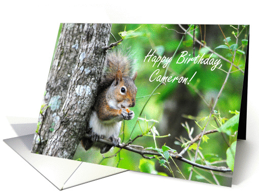Happy Birthday, Cameron card (1383798)