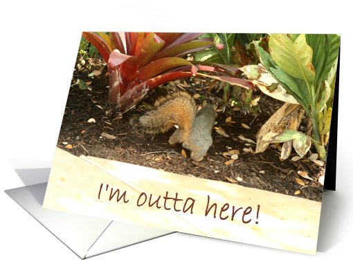 I'm Outta Here! card (436758)