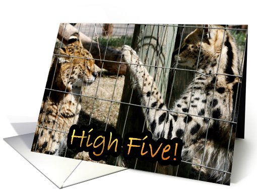 High Five! card (437811)