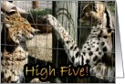 High Five! card