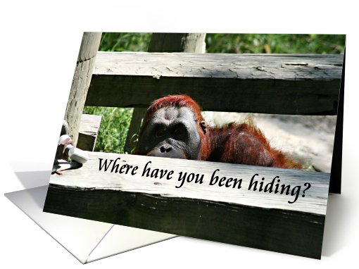 Peeking Orangutan card (440721)