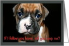 Keep Me Boxer Puppy card