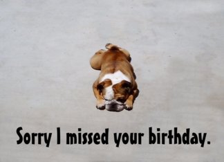 Bulldog Belated...