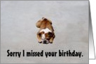 Bulldog Belated Birthday Wishes card