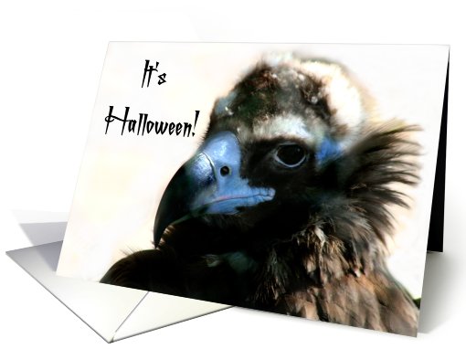 Halloween Vulture card (497464)