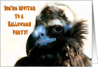 Halloween Party Invitation-Vulture card